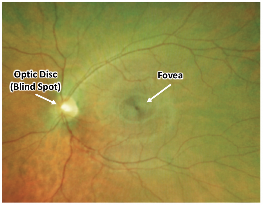 ieeevr_2019_neuro.tok.f11722_w.150.png ieeevr_2019_neuro.tok.f11722_w.150.png